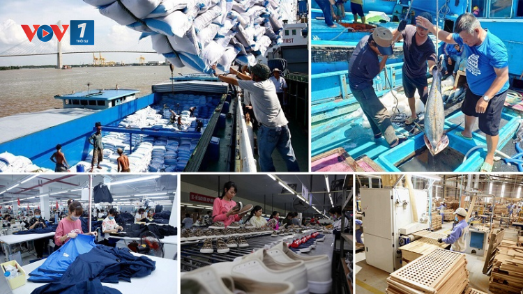 Kinh tế Việt Nam dự kiến đạt mức tăng trưởng 6% năm 2024 (30/1/2024)