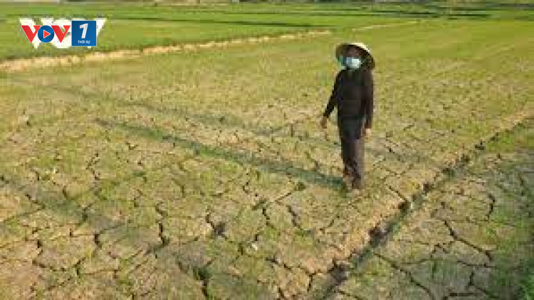 THỜI SỰ 21H30 ĐÊM 15/1/2024: Thủ tướng Chính phủ ban hành Công điện về việc chủ động ứng phó với nguy cơ hạn hán, thiếu nước, mặn xâm nhập.