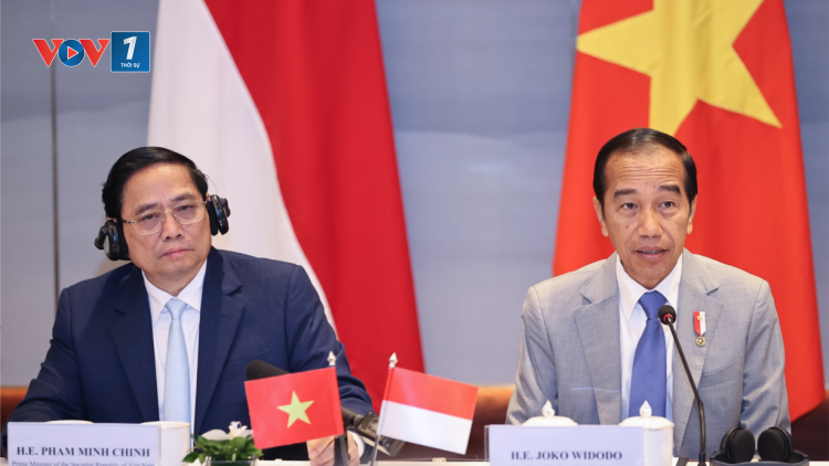THỜI SỰ 18H CHIỀU 13/1/2024: Thủ tướng Phạm Minh Chính và Tổng thống Joko Widodo đối thoại với doanh nghiệp Việt Nam – Indonesia.