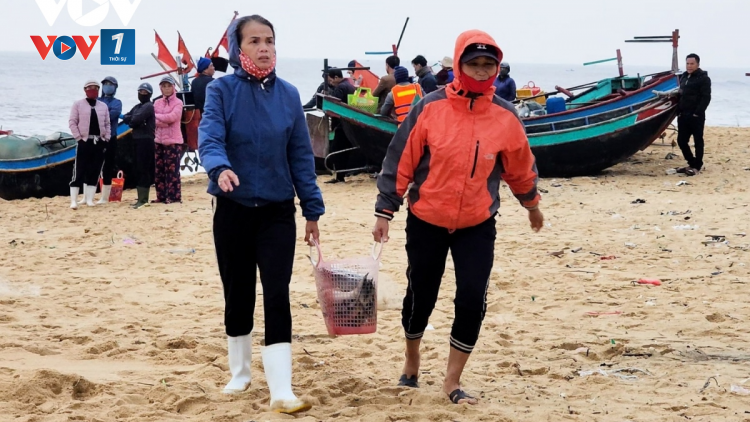 Quảng Bình: ngư dân ra khơi được mùa cá dịp đầu năm (8/1/2024)