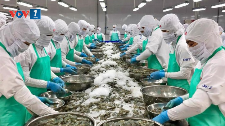 THỜI SỰ 6H SÁNG 28/1/2024: Hiệp hội Chế biến và Xuất khẩu thủy sản Việt Nam dự báo xuất khẩu tôm năm nay có nhiều khả quan, có thể đạt 4 tỷ USD