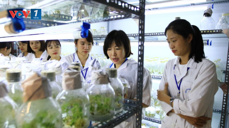 Cần làm gì để tạo điều kiện cho những nhà khoa học nữ chuyên tâm nghiên cứu và cống hiến (19/10/2024)