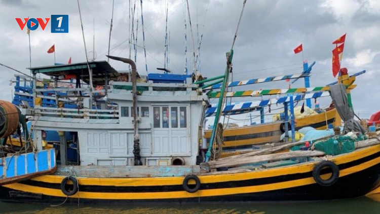 Đến từng hộ, từng thuyền để tuyên truyền chống khai thác thuỷ sản bất hợp pháp (08/10/2024)