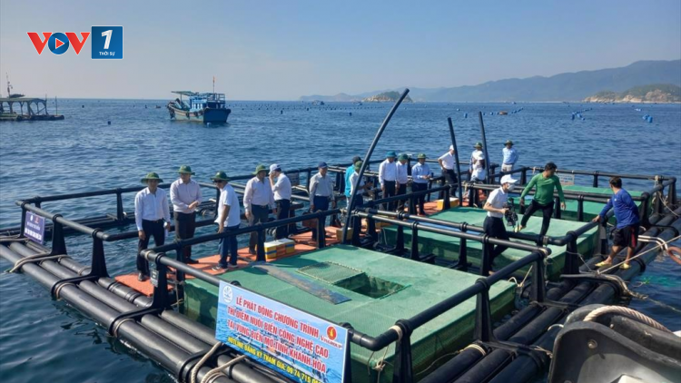 Khánh Hòa: Đi từng bước nhỏ để vươn ra biển lớn nuôi trồng thủy sản (09/10/2024)