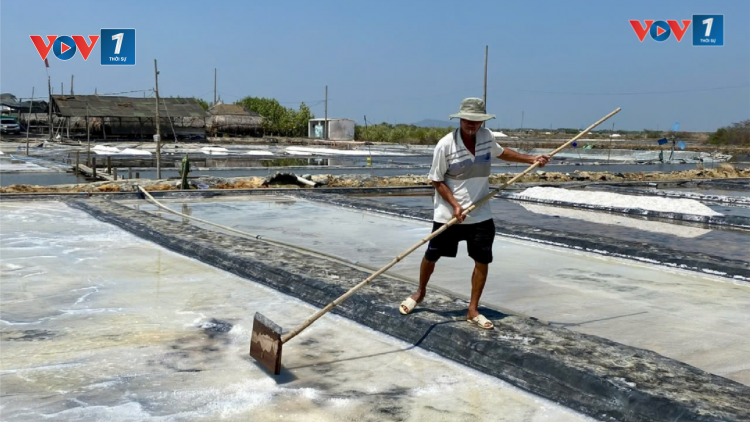 Rào cản chính sách đất đai có gây lãng phí tài nguyên (26/10/2024)