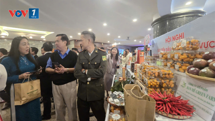 Cần có cơ chế để Tây Nguyên vươn mình trở thành vùng sản xuất nông nghiệp hiện đại (30/10/2024)