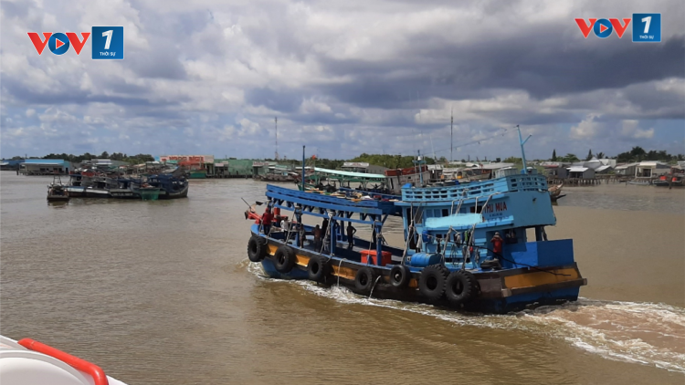 Cà Mau: Quản lý tàu cá hiệu quả hơn nhờ phần mềm (29/10/2024)