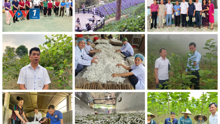 Gỡ rối thúc đẩy du lịch canh nông phát triển (22/10/2024)