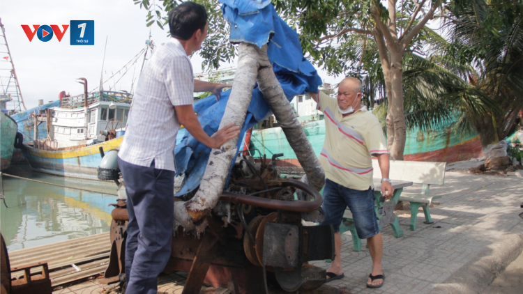 Gỡ khó cho tàu cá “lỡ” thay máy cũ (29/10/2024)