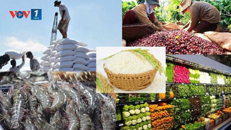 THỜI SỰ 12H TRƯA 4/10/2024: 9 tháng qua, xuất siêu nhóm hàng nông lâm, thủy sản đạt gần 14 tỷ USD, tăng hơn 71% so với cùng kỳ.