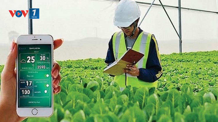 Đẩy mạnh ứng dụng khoa học công nghệ trong xây dựng nông thôn mới (03/11/2024)
