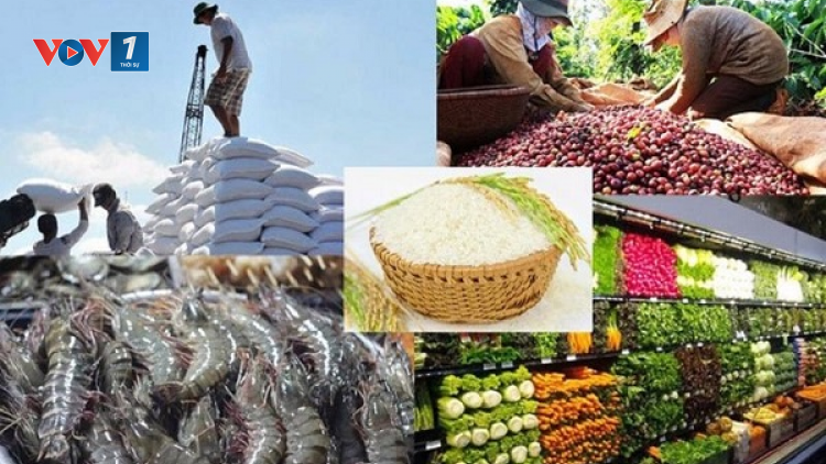 Chế biến sau thu hoạch, tạo phát triển bền vững nông sản xuất khẩu (08/11/2024)