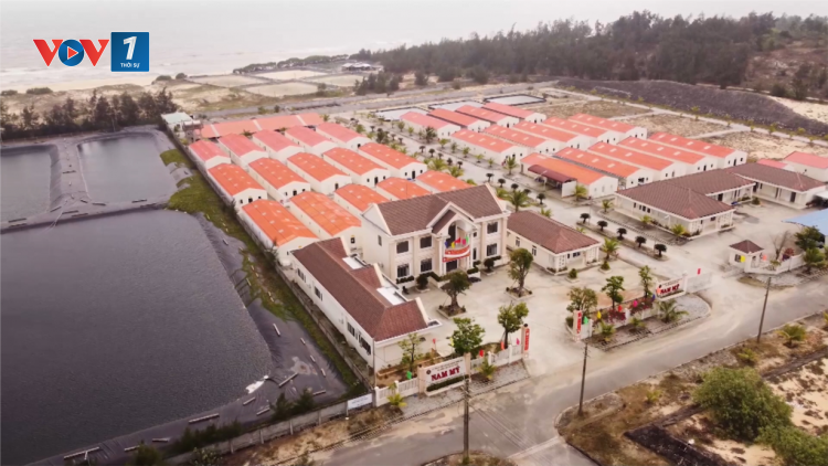 Quảng Nam: Đầu tư phát triển nông nghiệp xanh (21/11/2024)