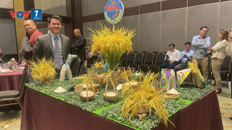 Thương mại gạo - mặt hàng chủ lực của Việt Nam sang Philippines (9/11/2024)