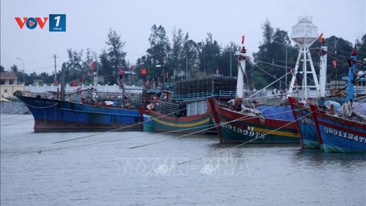 Ngư dân Quảng Bình làm giàu từ biển (27/11/2024)