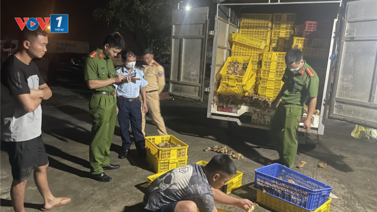 Thủ tướng Chính phủ yêu cầu xử lý nghiêm các trường hợp buôn bán lợn, các sản phẩm lợn bệnh, không rõ nguồn gốc xuất xứ (08/11/2024)