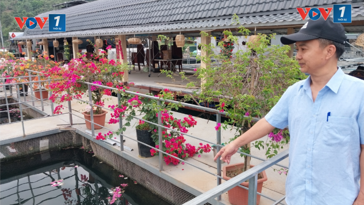 Hòa Bình: Phát triển du lịch gắn với sản phẩm nông nghiệp tạo sinh kế cho người dân (23/11/2024)