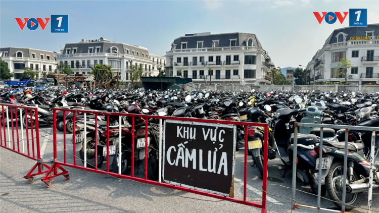 Quảng Ninh: Quá tải các bãi trông giữ xe vi phạm giao thông (06/11/2024)