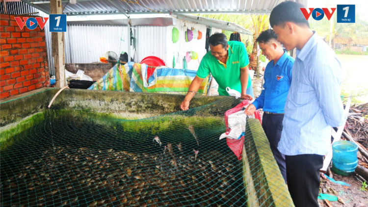Thanh niên Khmer khởi nghiệp, xây dựng được mô hình kinh tế hiệu quả (08/11/2024)