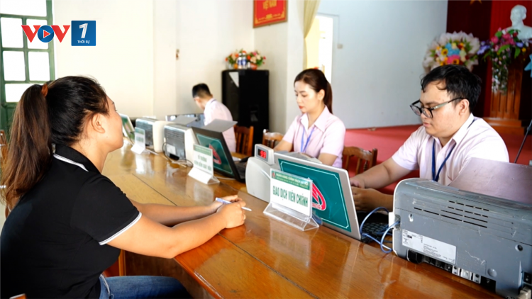Trợ lực nông dân và doanh nghiệp vượt khó sau lũ (22/11/2024)