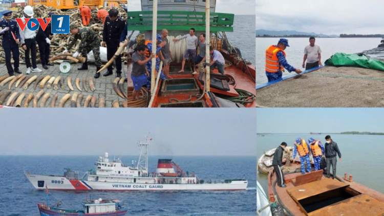 Hải đoàn 11, Bộ tư lệnh Vùng Cảnh sát biển 1 quyết tâm đấu tranh, phòng chống tội phạm buôn lậu, gian lận thương mại trên biển (05/11/2024)