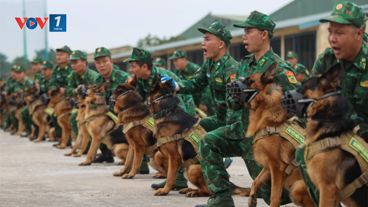 Đội quân khuyển đặc biệt sẽ ghi dấu ấn tại Khai mạc Triển lãm Quốc phòng Quốc tế Việt Nam 2024 (30/11/2024)