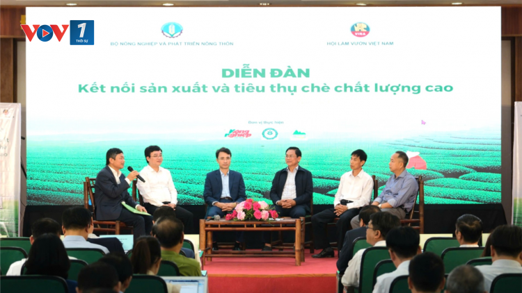 Năm 2025: chuyển đổi 70% diện tích trồng chè sang trồng các giống chè mới, chất lượng cao