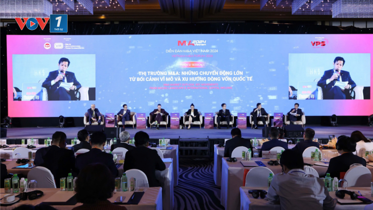 Hoạt động mua bán sáp nhập sẽ được kích hoạt tốt trong năm 2025 (28/11/2024)