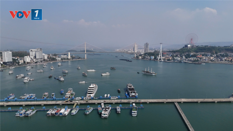 Sôi động du lịch tàu biển tại Quảng Ninh (13/11/2024)