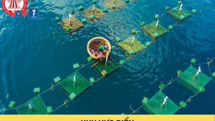 Tháo gỡ khó khăn trong việc giao khu vực biển (06/11/2024)