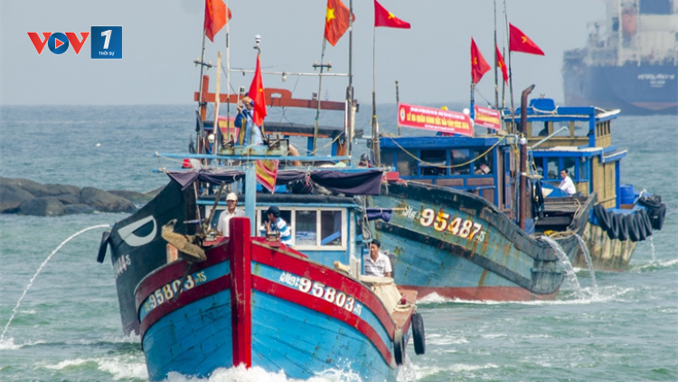 Kiến thức cho ngư dân tàu cá vươn khơi mùa mưa bão (18/11/2024)