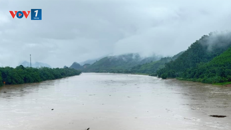 THỜI SỰ 21H30 ĐÊM 5/11/2024: Mưa lớn tại Đà Nẵng và Quảng Binh, hàng trăm hộ dân bị ngập lụt, cô lập, 1 người mất tích
