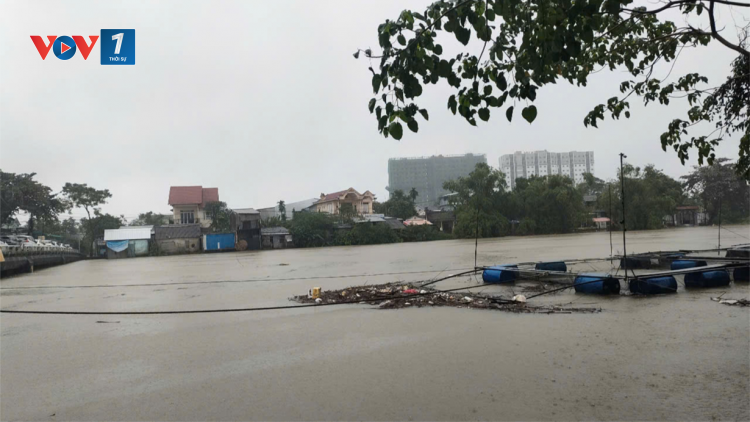 THỜI SỰ 18H CHIỀU 25/11/2024: Mưa lũ gây ngập sâu nhiều khu vực ở tỉnh Thừa Thiên Huế và Quảng Nam. Hàng trăm người đã phải di dời khẩn cấp