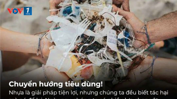 Tác động của xu hướng tiêu dùng bền vững: Cơ hội & thách thức cho doanh nghiệp Việt Nam (17/11/2024)