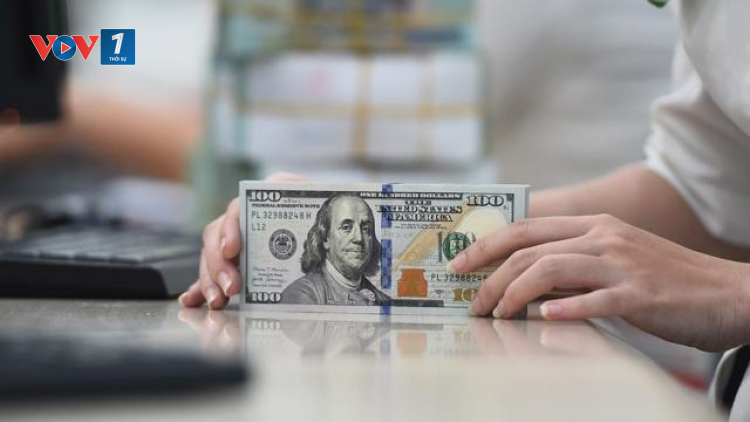 Lần đầu tiên Việt Nam có một ngân hàng sở hữu tổng tài sản vượt mốc 100 tỷ đôla Mỹ ((6/11/2024)