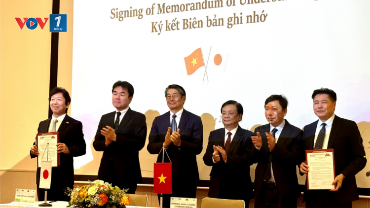 Kết nối chuỗi cung ứng nông sản Việt Nam – Nhật Bản (27/11/2024)