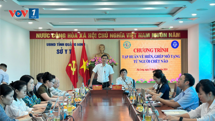 Số ca chết não hiến tạng năm 2024 tăng gấp đôi năm 2023 (15/11/2024)
