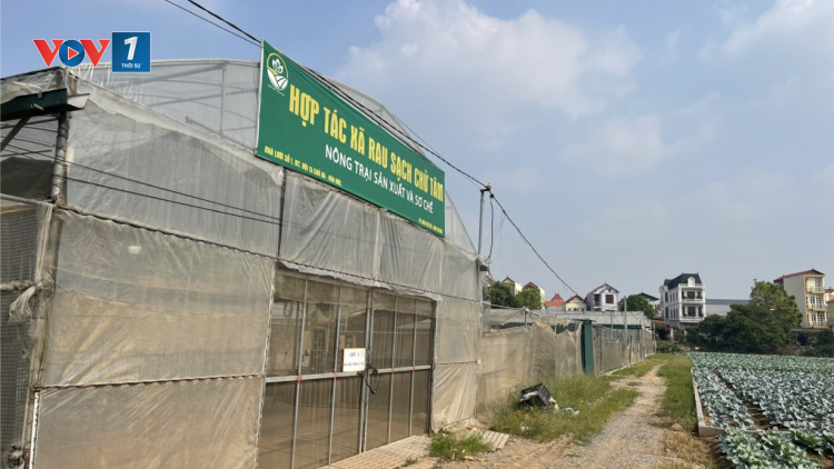 Ngày hội đại đoàn kết toàn dân tại xã nông thôn mới kiểu mẫu (16/11/2024)