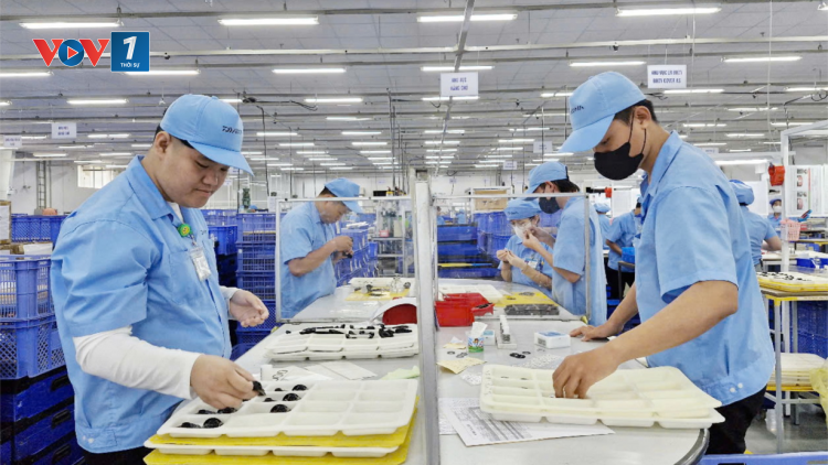 Cuối năm, nhiều doanh nghiệp Đà Nẵng kín đơn hàng (22/12/2024)