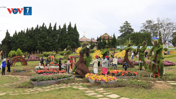 Đà Lạt nhộn nhịp trước giờ khai hội Festival hoa (5/12/2024)