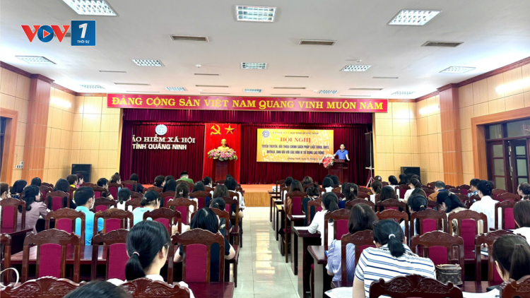 Quảng Ninh: Hết 11 tháng, xử phạt gần 500 triệu đồng tiền chậm nộp BHXH (8/12/2024)