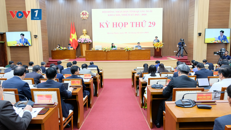Quảng Ngãi: Thực hiện đạt và vượt các chỉ tiêu phát triển kinh tế - xã hội năm 2024 (9/12/2024)