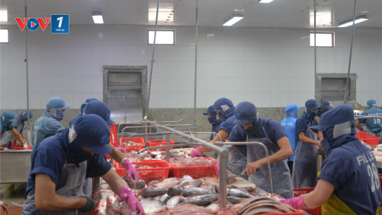 Nhiều cơ hội cho thủy sản Việt Nam tại thị trường Halal (13/12/2024)