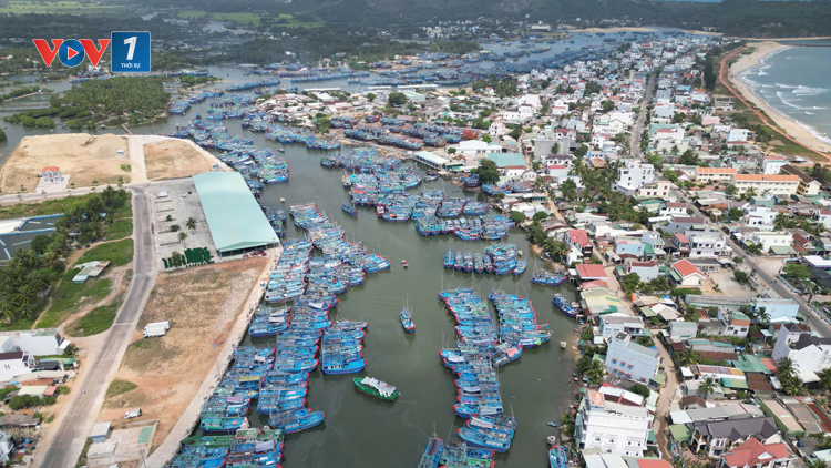 Loạt bài: Vì nghề cá bền vững và hội nhập Bài 2: Số hóa và cấu trúc lại nghề cá (26/12/2025)