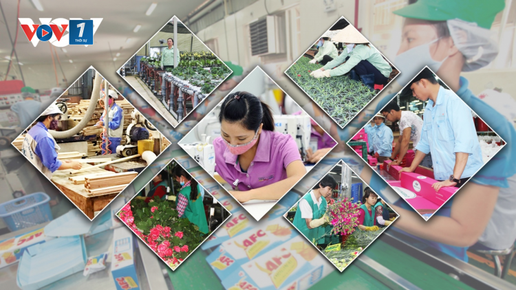 FTA Index: hỗ trợ doanh nghiệp gia tăng cơ hội từ các Hiệp định thương mại tự do (17/12/2024)