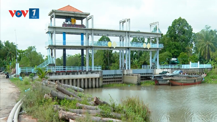 THỜI SỰ 12H TRƯA 21/02/2024: Mặn xâm nhập ở ĐBSCL dự báo tăng cao trong những ngày tới