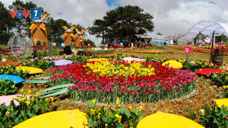 THỜI SỰ 6H SÁNG 29/02/2024: Đà Lạt lọt vào nhóm 5 thành phố festival ấn tượng của Châu Á