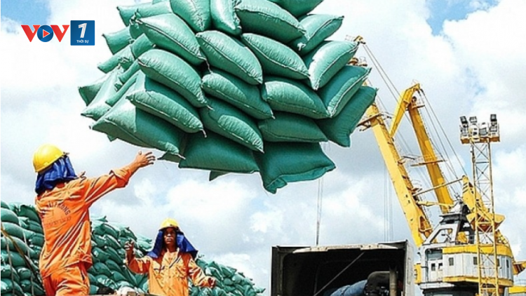 THỜI SỰ 18H CHIỀU 03/02/2024: Việt Nam trúng thầu 300.000 tấn gạo xuất sang Indonesia