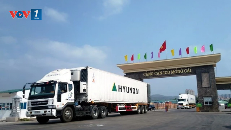 THỜI SỰ 6H SÁNG 19/2/2024: Xuất khẩu hơn 900 tấn hàng thủy sản và hoa quả qua lối mở thuộc Cửa khẩu quốc tế Móng Cái tỉnh Quảng Ninh trong ngày đầu thông quan trở lại sau kỳ nghỉ tết
