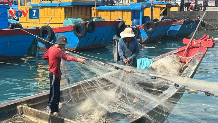 THỜI SỰ 12H TRƯA 18/2/2024: Chính phủ yêu cầu tăng cường các biện pháp gỡ thẻ vàng IUU. Đến tháng 4 tới, không còn tình trạng tàu cá Việt Nam đi khai thác hải sản trái phép
